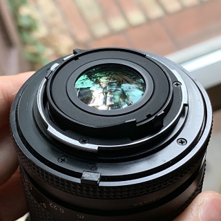 Zeisscy21 05